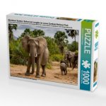 Abenteuer Sambia: Elefant mit Jungtier im Lower Zambezi National Park (Puzzle)