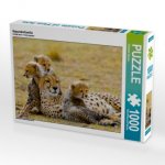 Gepardenfamilie (Puzzle)