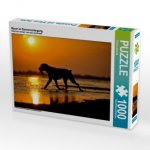 Boxer im Sonnenuntergang (Puzzle)