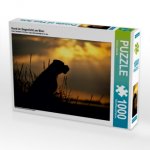 Hund im Gegenlicht am Meer (Puzzle)
