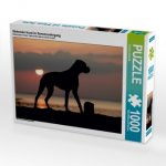 Stehender Hund im Sonnenuntergang (Puzzle)