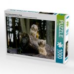 Zwei kleine Kobolde im Wald. (Puzzle)