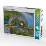 Zwei Kohlmeisen im Luftkampf (Puzzle)