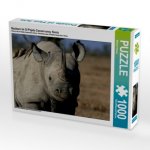 Nashorn im Ol Pejeta Conservancy Kenia (Puzzle)