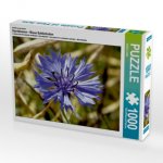 Ein Motiv aus dem Kalender Kornblumen - Blaue Schönheiten (Puzzle)