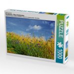 Ein Motiv aus dem Kalender Kornblumen - Blaue Schönheiten (Puzzle)