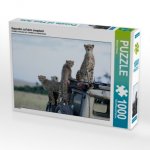 Geparden auf dem Jeepdach (Puzzle)