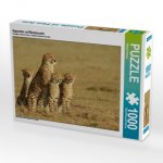 Geparden auf Beutesuche (Puzzle)