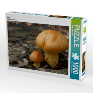 Pilze (Puzzle)