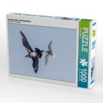 Seeschwalbe und Raubmöwe (Puzzle)