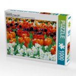 Ein Motiv aus dem Kalender Farbenfrohe Tulpen 2017 (Puzzle)