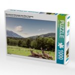 Bärenalm bei Hinterstoder beim Steyr Ursprung (Puzzle)