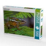 Pantherchamäleon (Puzzle)