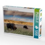 Roaming Free (Puzzle)