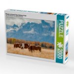 Pferde im Grand Teton National Park (Puzzle)