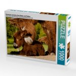 Harmonie zwischen Esel Stute und Fohlen (Puzzle)