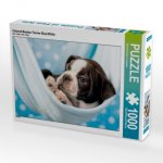 Colored Boston Terrier Blue/White (Puzzle)