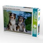 Ice & Chessy - die Tochter so schön wie die Mutter (Puzzle)