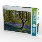 Zauberwald (Puzzle)