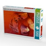 Windstone Arch, Valley of Fire State Park, Nevada (Puzzle)