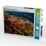Ein Motiv aus dem Kalender Malediven - Die bunte Unterwasserwelt (Puzzle)