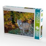 Wolf im Herbstwald (Puzzle)