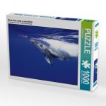 Mach doch nicht so eine Welle (Puzzle)