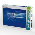 Unterwasser Spielzeit (Puzzle)