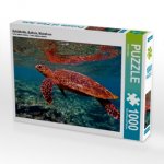 Schildkröte, Bathala, Malediven (Puzzle)