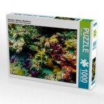 Seestern, Bathala, Malediven (Puzzle)
