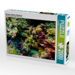 Seestern, Bathala, Malediven (Puzzle)