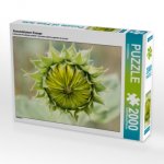 Sonnenblumen Knospe (Puzzle)