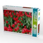 Rote Tulpen (Puzzle)