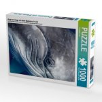 Auge an Auge mit dem Buckelwal Kalb (Puzzle)