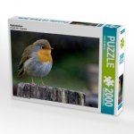 Rotkehlchen (Puzzle)