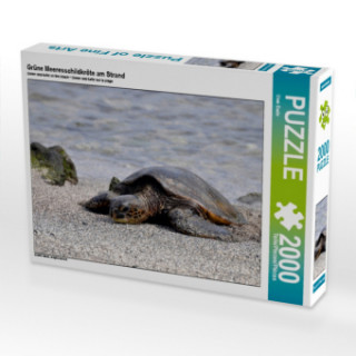 Grüne Meeresschildkröte am Strand (Puzzle)