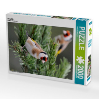 Stieglitz (Puzzle)