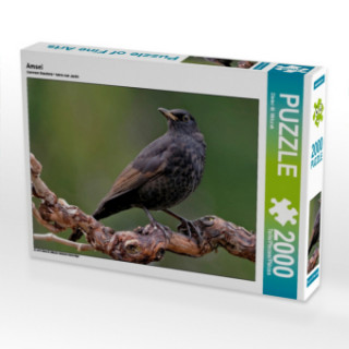 Amsel (Puzzle)
