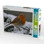 Rotkehlchen (Puzzle)