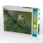 Blaumeise (Puzzle)