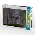 Timberwolf (Puzzle)