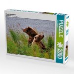 Alaska Braunbären (Puzzle)