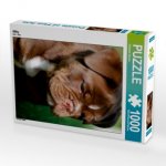 Abby (Puzzle)