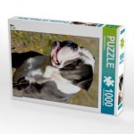 Ben (Puzzle)
