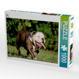 Lilly (Puzzle)