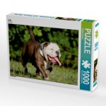Lilly (Puzzle)