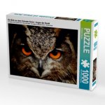 Ein Bild aus dem Kalender Eulen - Augen der Nacht (Puzzle)