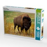 Ein Motiv aus dem Kalender Wisent & Bison (Puzzle)