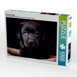 Labrador Welpe (Puzzle)
