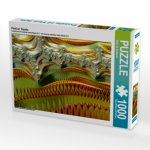 Field of Hearts (Puzzle)